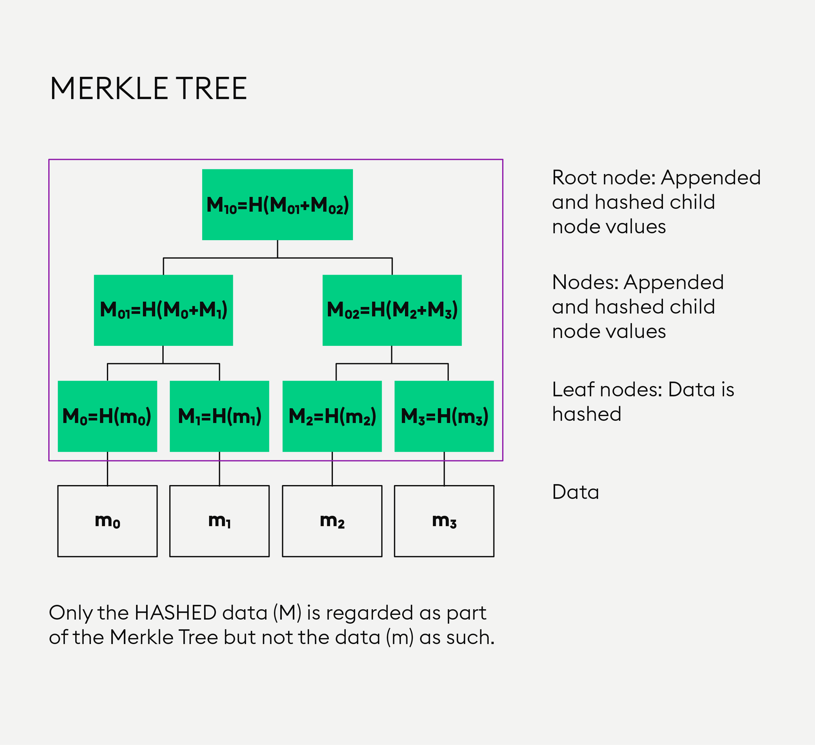 Everything You Need To Know About Merkle Trees — Bitpanda Academy