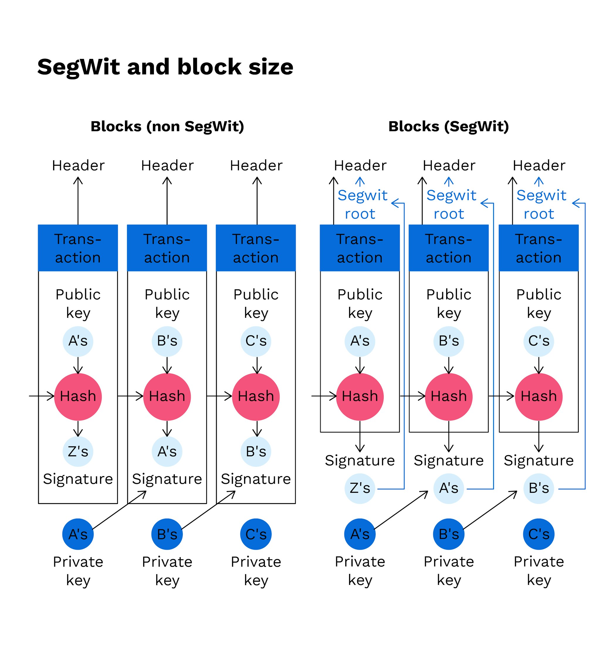 What is SegWit