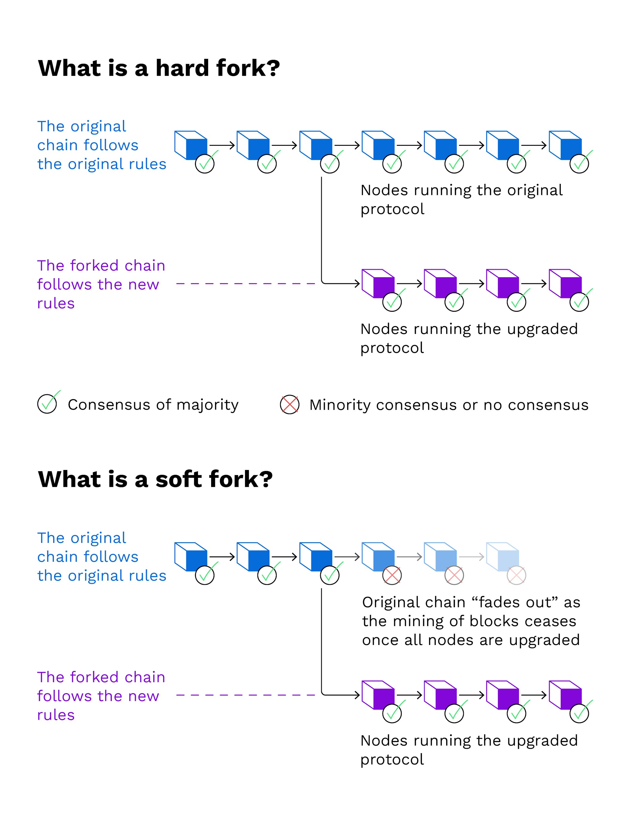 How do Hard and Soft Forks work? — Bitpanda Academy